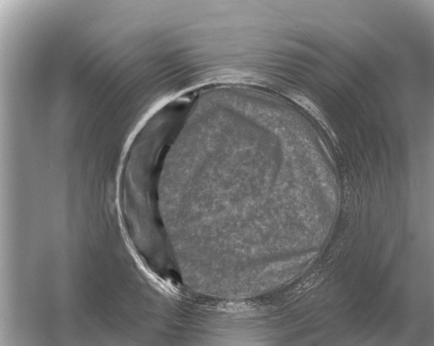 X0000055971128200509162151