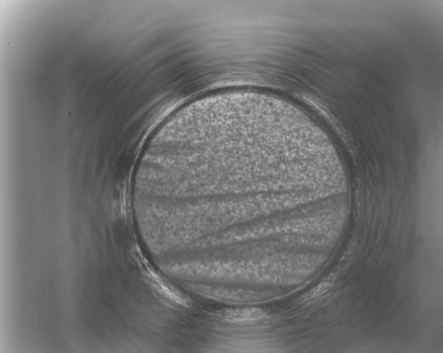 X0000055971129200509162151