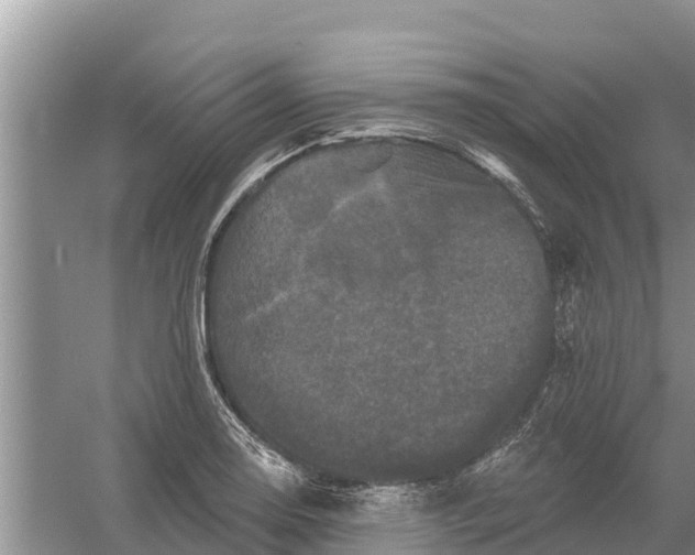 X0000055971130200509162151