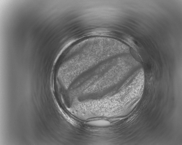 X0000055971131200509162151