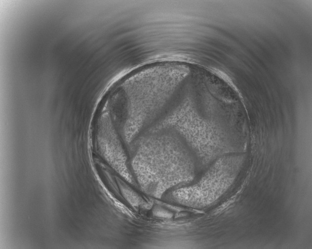 X0000055971133200509162151