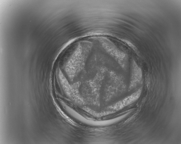 X0000055971134200509162151