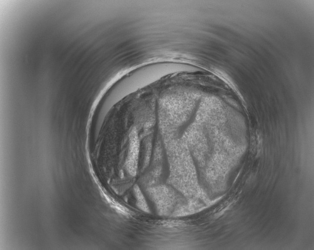 X0000055971136200509162151