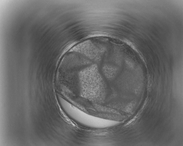 X0000055971137200509162151