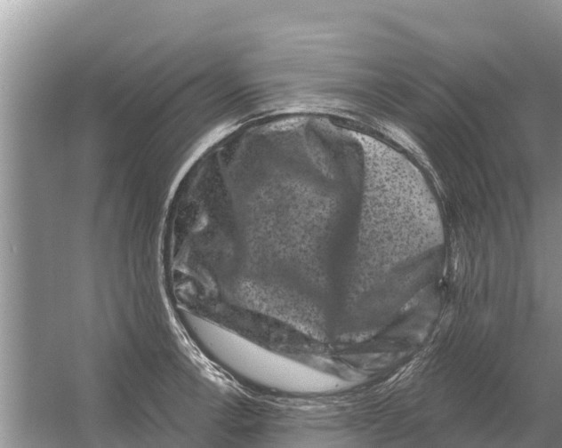 X0000055971138200509162151