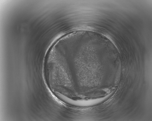 X0000055971139200509162151