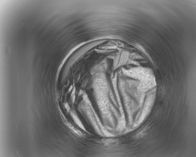 X0000055971140200509162151