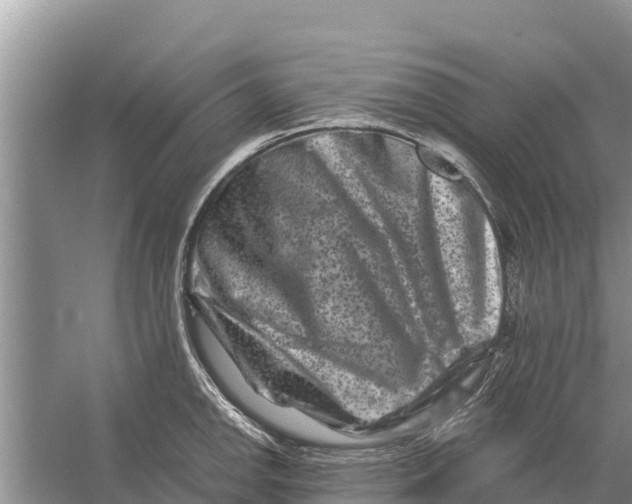 X0000055971142200509162152