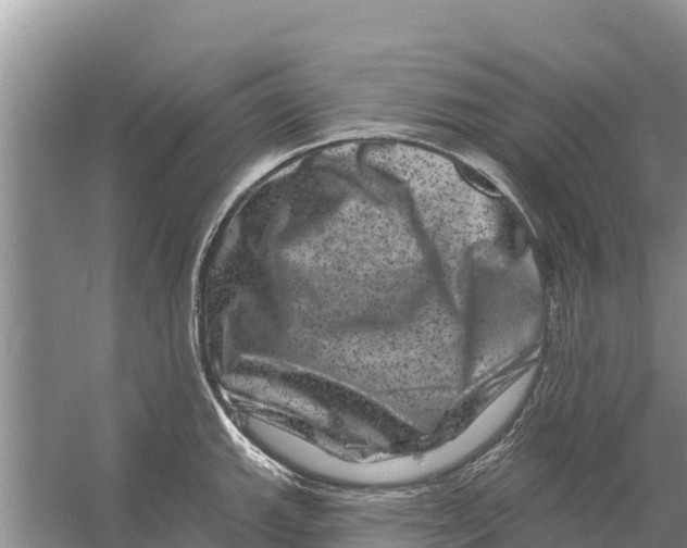 X0000055971143200509162152