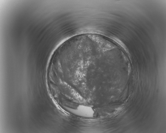 X0000055971144200509162152