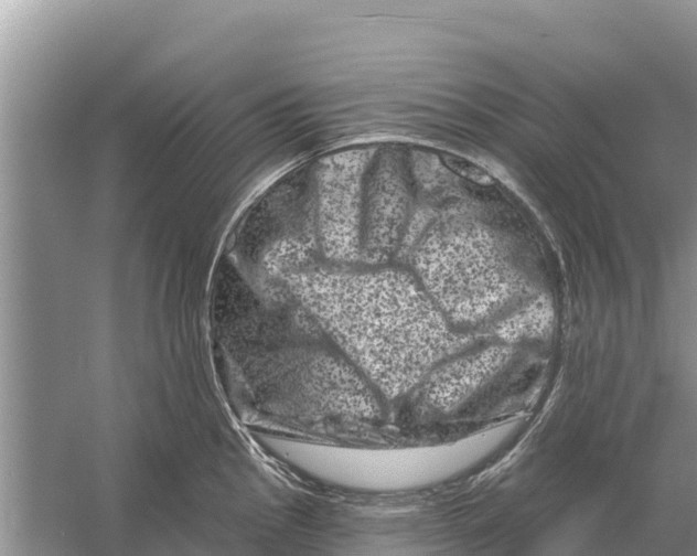 X0000055971145200509162152