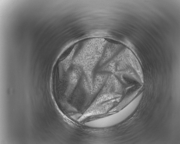 X0000055971147200509162152