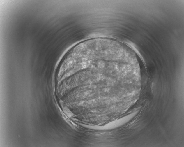 X0000055971148200509162152