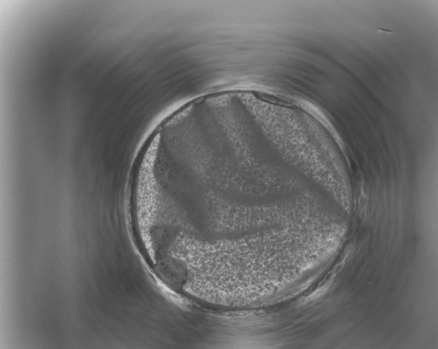 X0000055971149200509162152