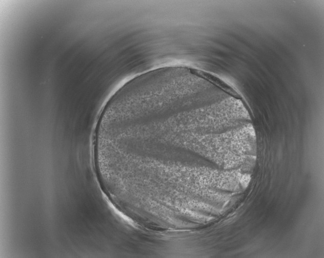 X0000055971151200509162152