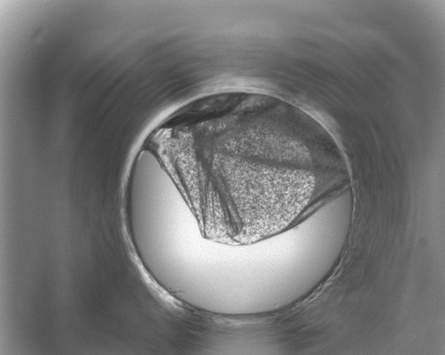 X0000055971152200509162152