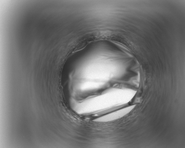 X0000055971153200509162151