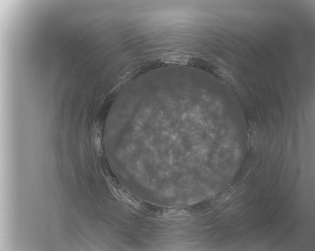 X0000055971154200509162151