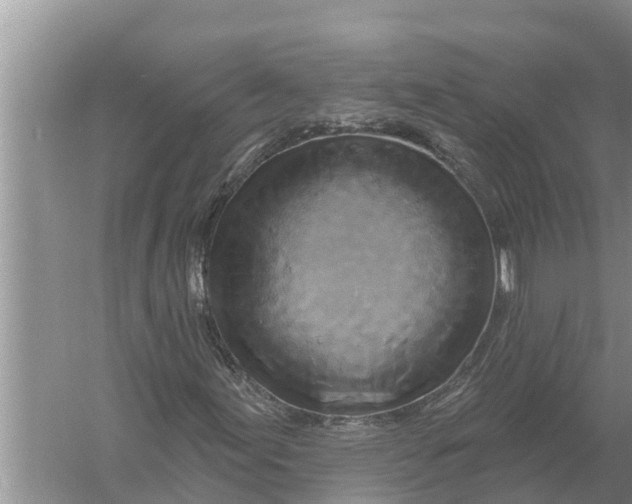 X0000055971155200509162151