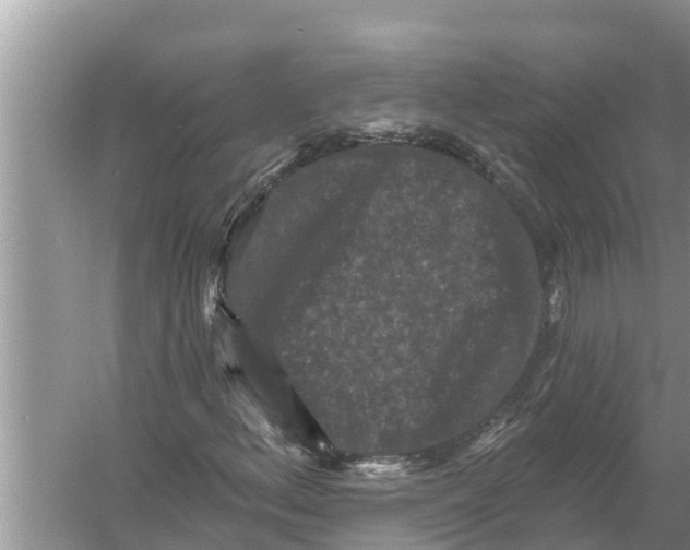 X0000055971156200509162151