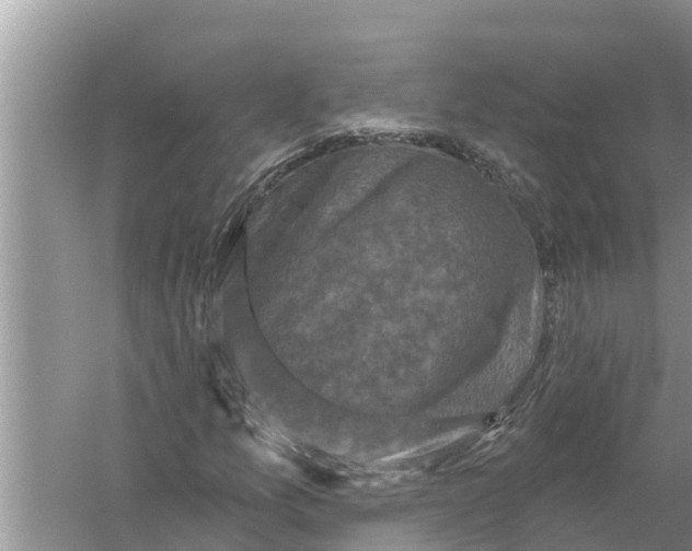 X0000055971157200509162151