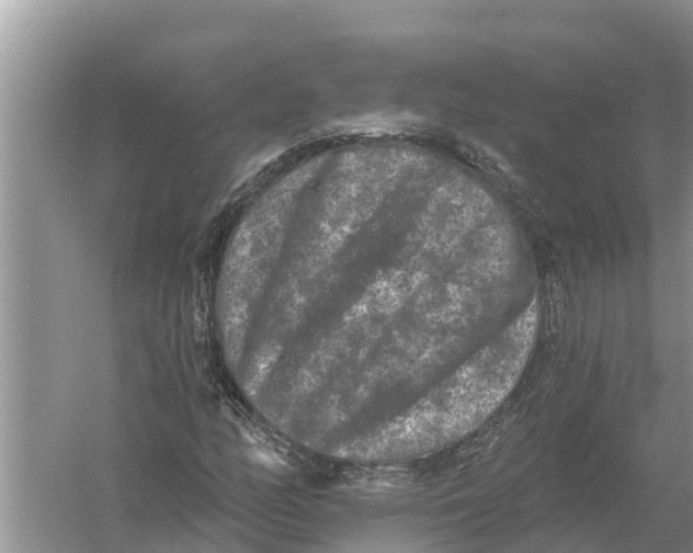 X0000055971158200509162151