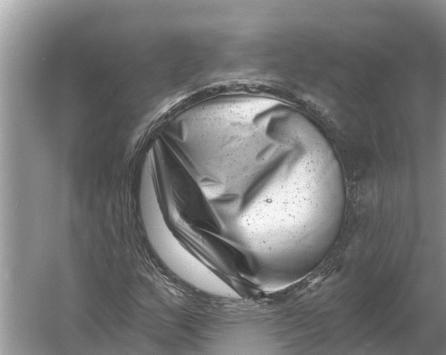 X0000055971159200509162151