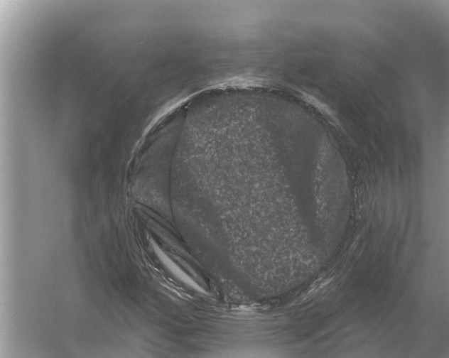 X0000055971160200509162151