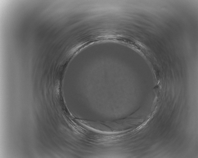 X0000055971161200509162151