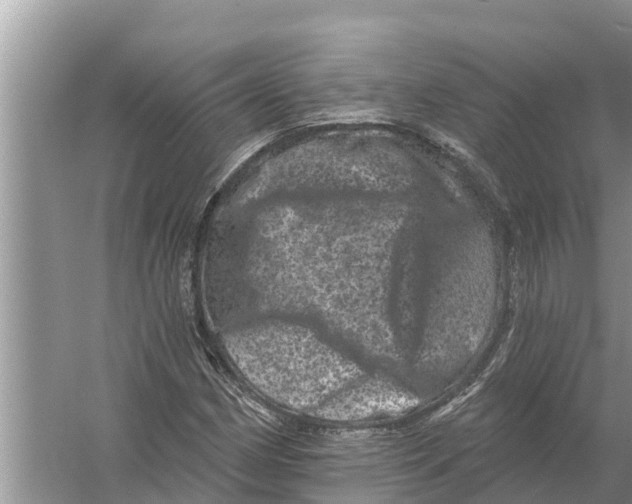 X0000055971162200509162151