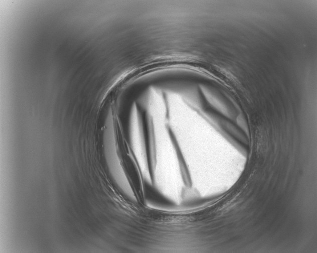 X0000055971163200509162151