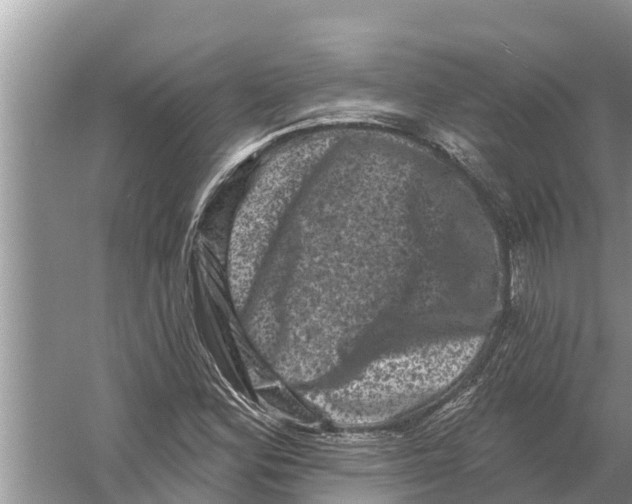 X0000055971164200509162151