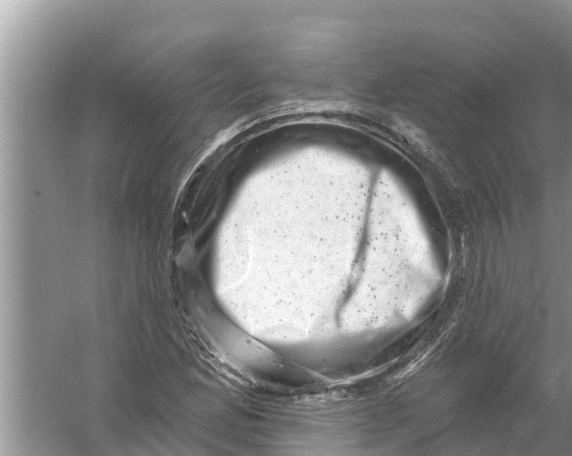 X0000055971165200509162151