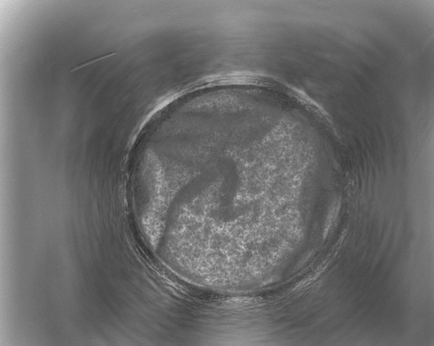 X0000055971166200509162151