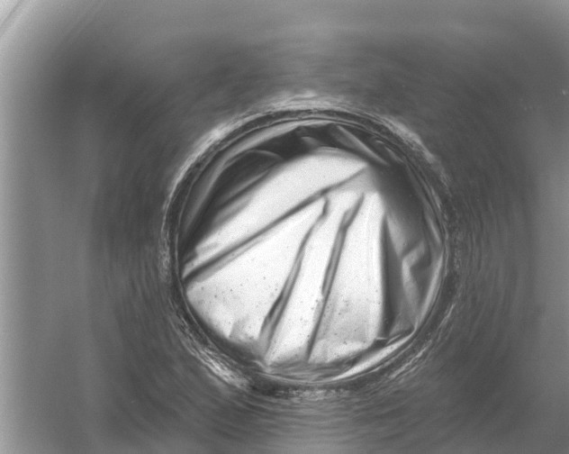 X0000055971167200509162151