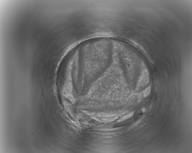 X0000055971168200509162151