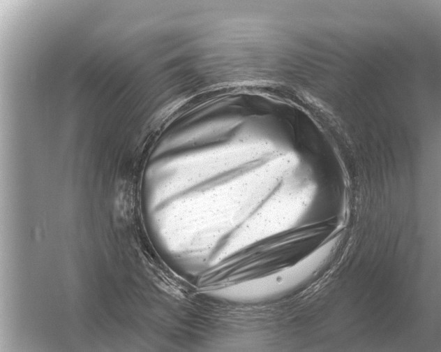 X0000055971169200509162151