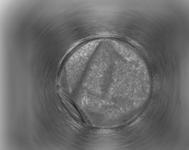 X0000055971170200509162151