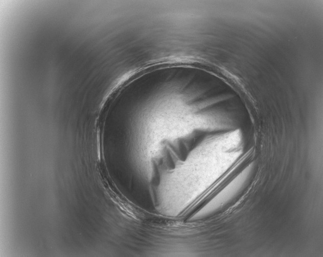 X0000055971171200509162151