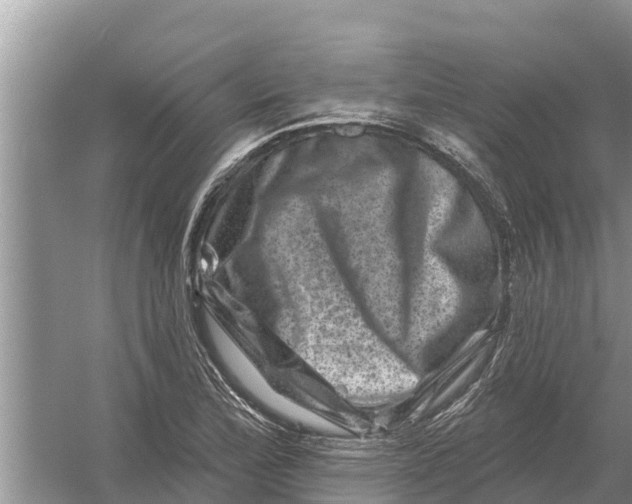 X0000055971172200509162151