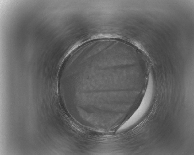 X0000055971173200509162151