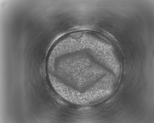 X0000055971174200509162151