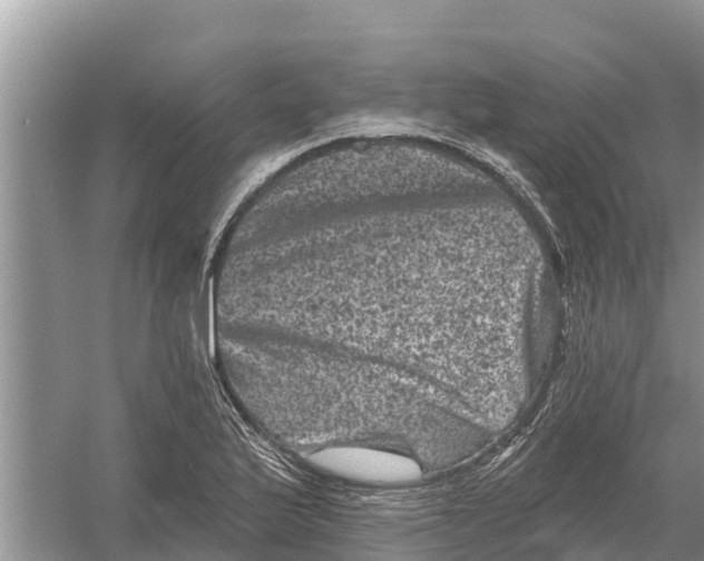 X0000055971175200509162151