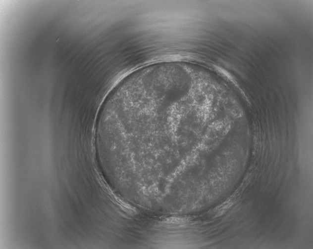 X0000055971178200509162150