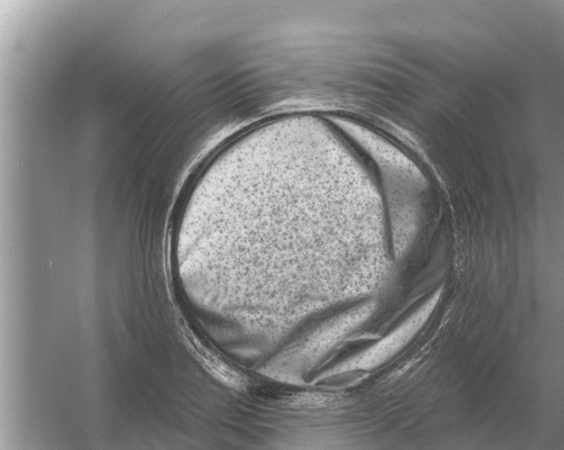 X0000055971179200509162150