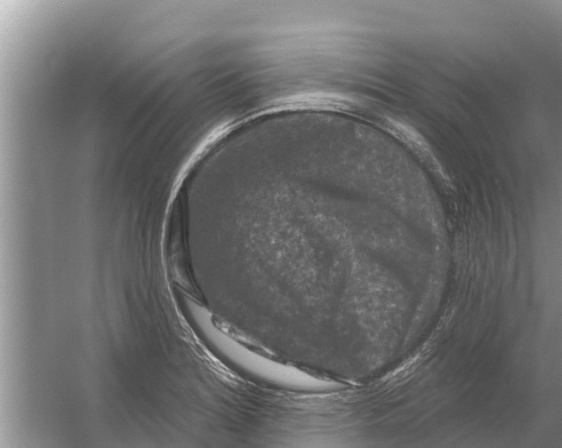 X0000055971180200509162150