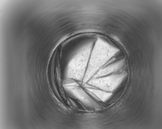 X0000055971181200509162150