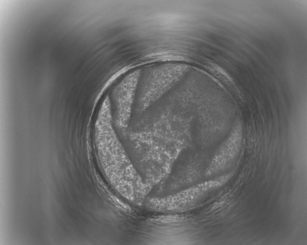 X0000055971182200509162150