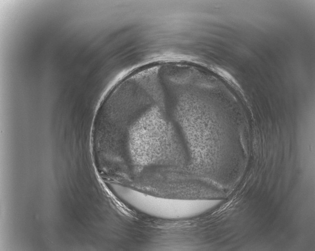 X0000055971183200509162150