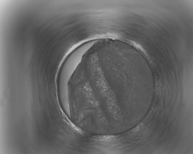 X0000055971184200509162150